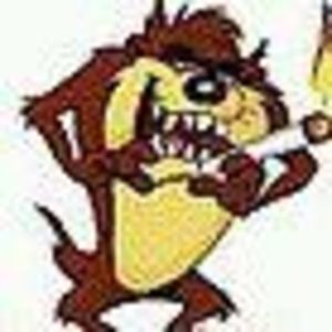 Meet your Posher, Rohan